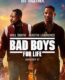 Bad Boys 3: Her Zaman Çılgın izle